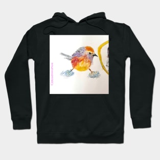 Ninja bird Hoodie